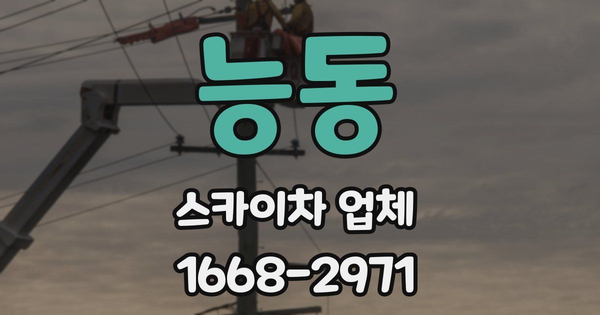 능동 스카이차 업체