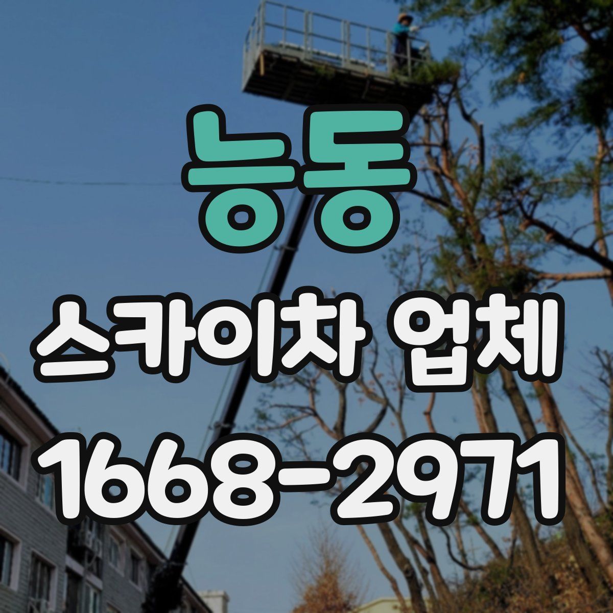 능동 스카이차 업체