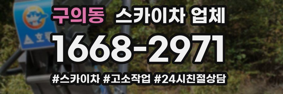 구의동 스카이차 업체