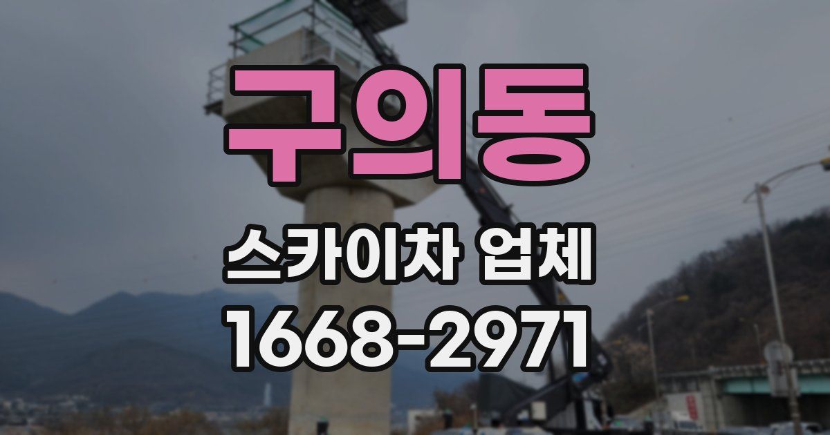 구의동 스카이차 업체