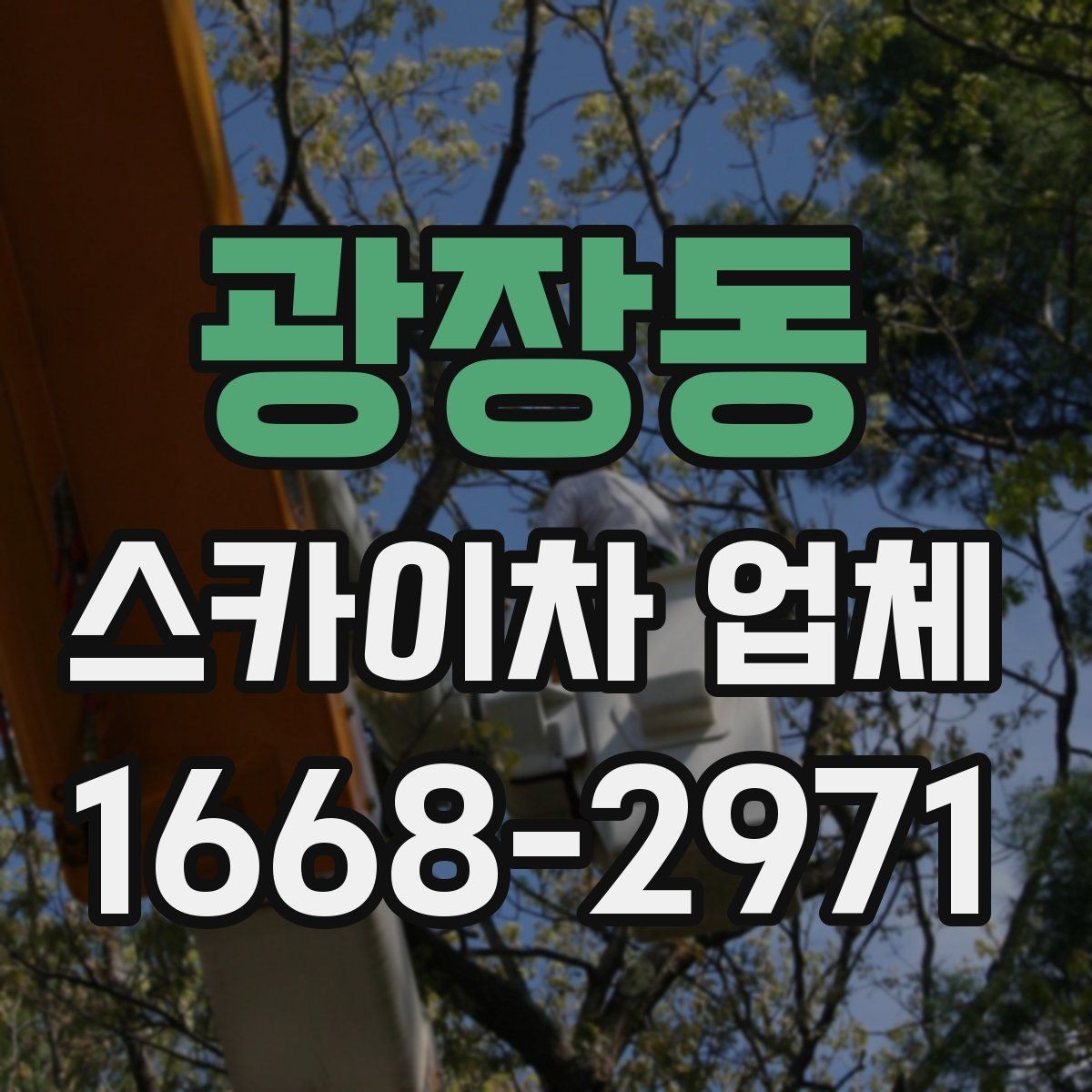 광장동 스카이차 업체 후기 볼 때 함께 봐야 할 것