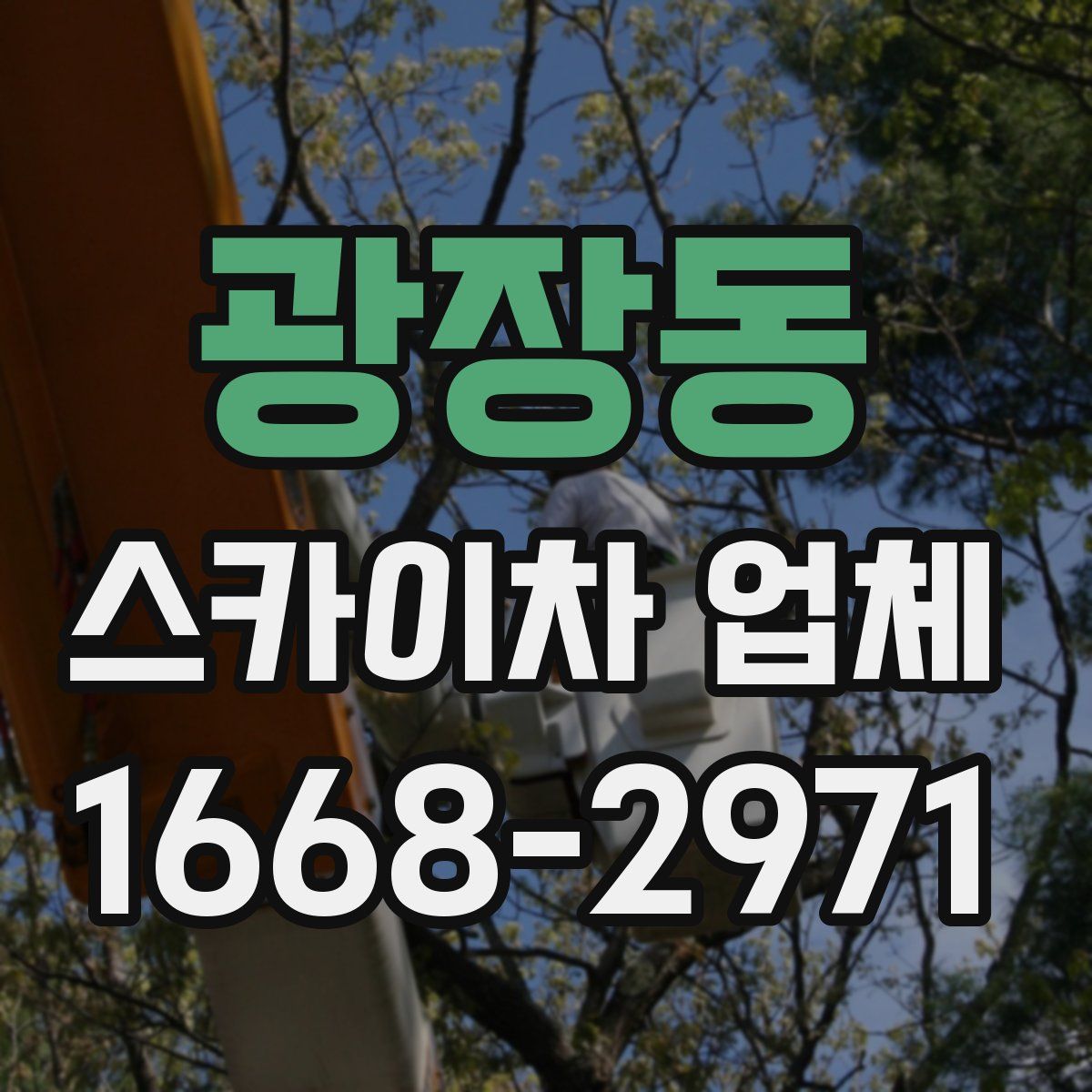 광장동 스카이차 업체