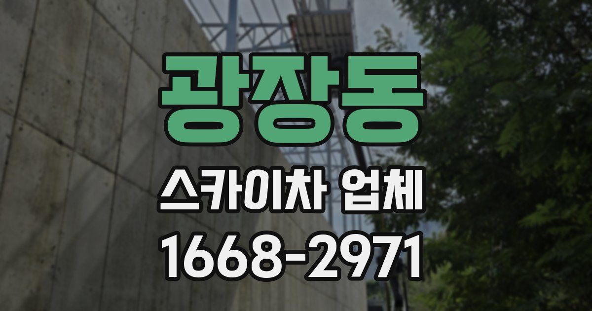 광장동 스카이차 업체