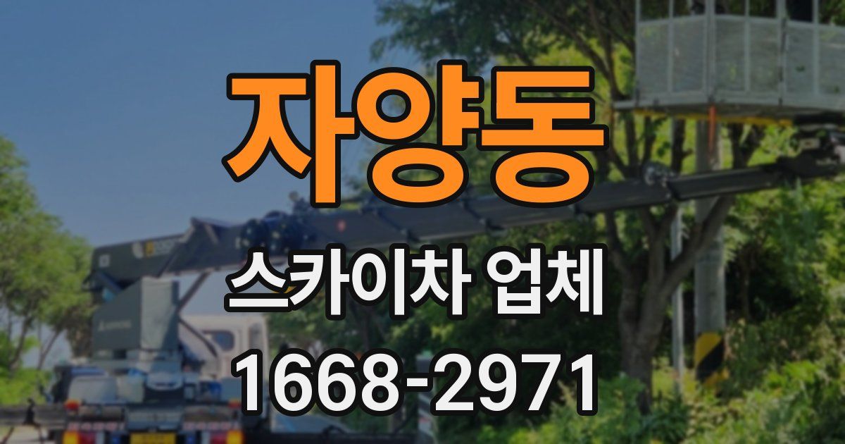 자양동 스카이차 업체