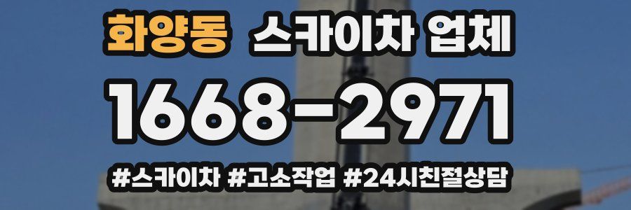 화양동 스카이차 업체