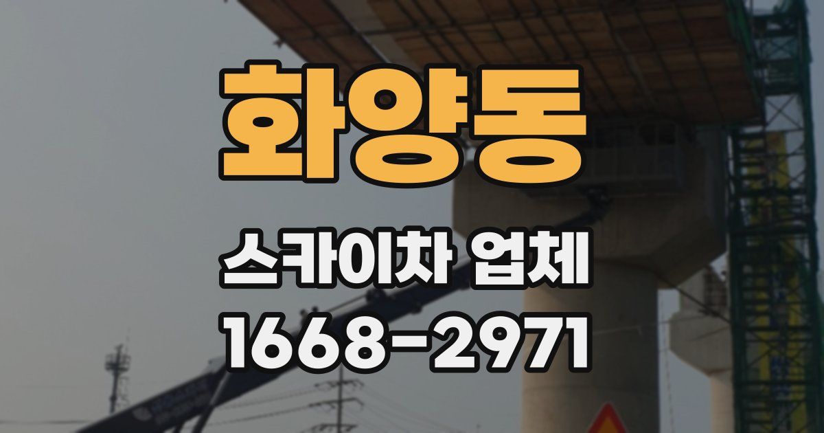 화양동 스카이차 업체