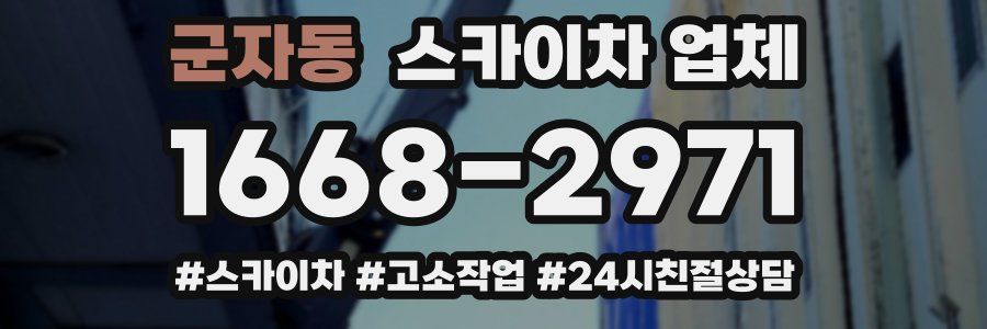 군자동 스카이차 업체