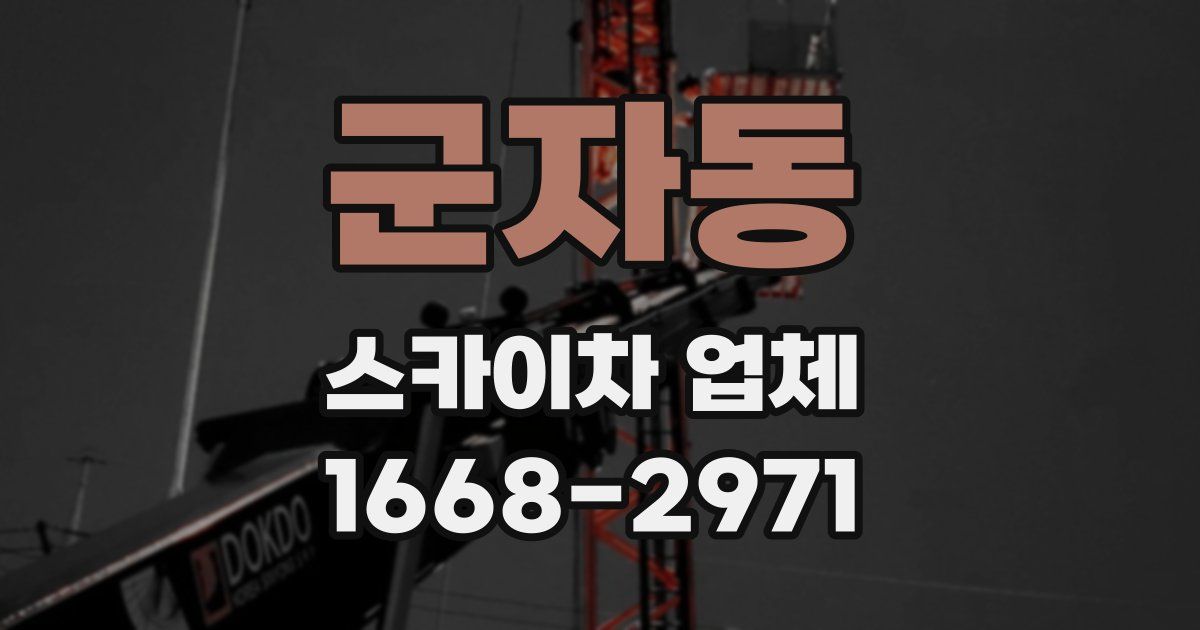 군자동 스카이차 업체