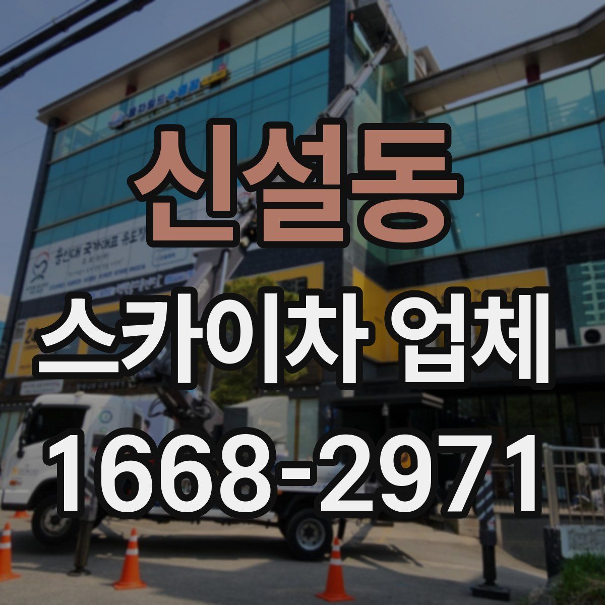 신설동 스카이차 업체