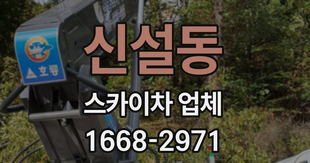 신설동 스카이차 업체