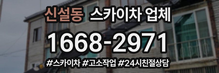 신설동 스카이차 업체