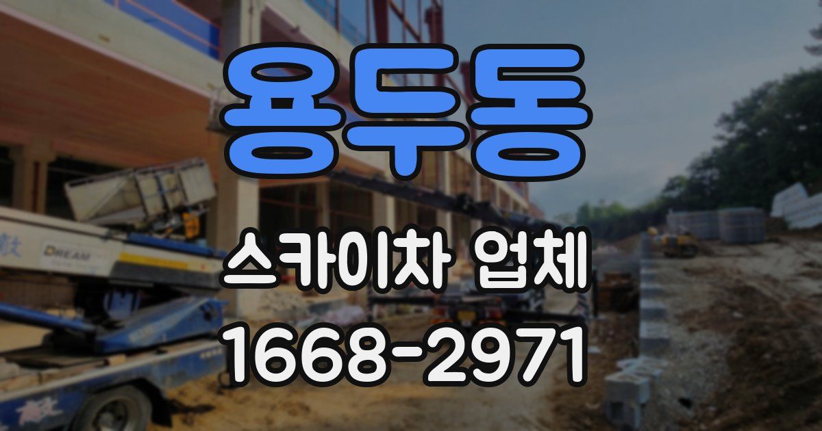 용두동 스카이차 업체