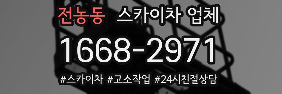 전농동 스카이차 업체