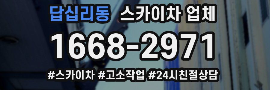 답십리동 스카이차 업체