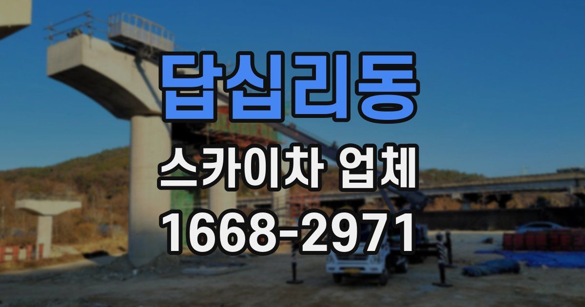 답십리동 스카이차 업체