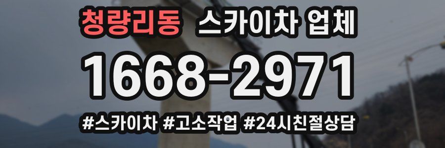 청량리동 스카이차 업체