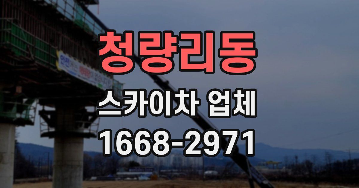 청량리동 스카이차 업체
