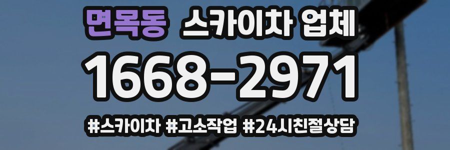 면목동 스카이차 업체