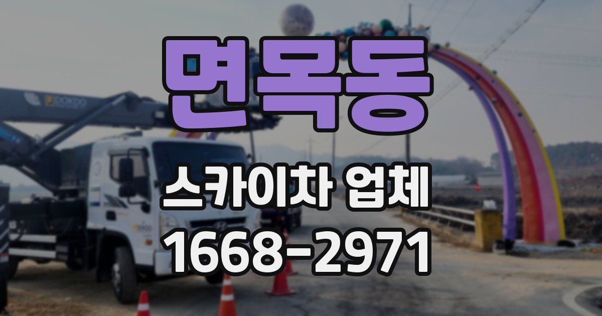 면목동 스카이차 업체