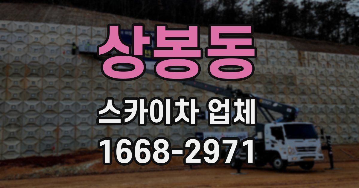 상봉동 스카이차 업체