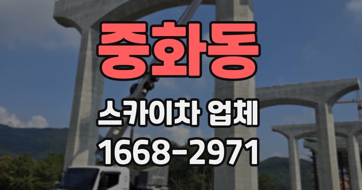 중화동 스카이차 업체