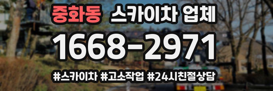 중화동 스카이차 업체