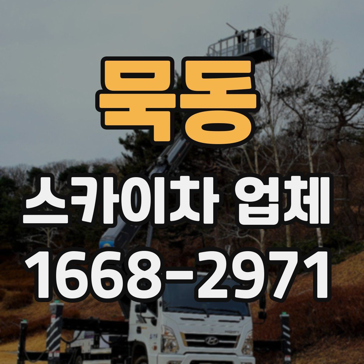 묵동 스카이차 업체