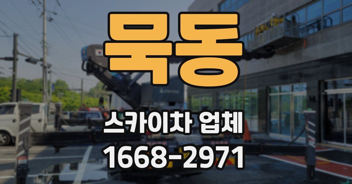 묵동 스카이차 업체