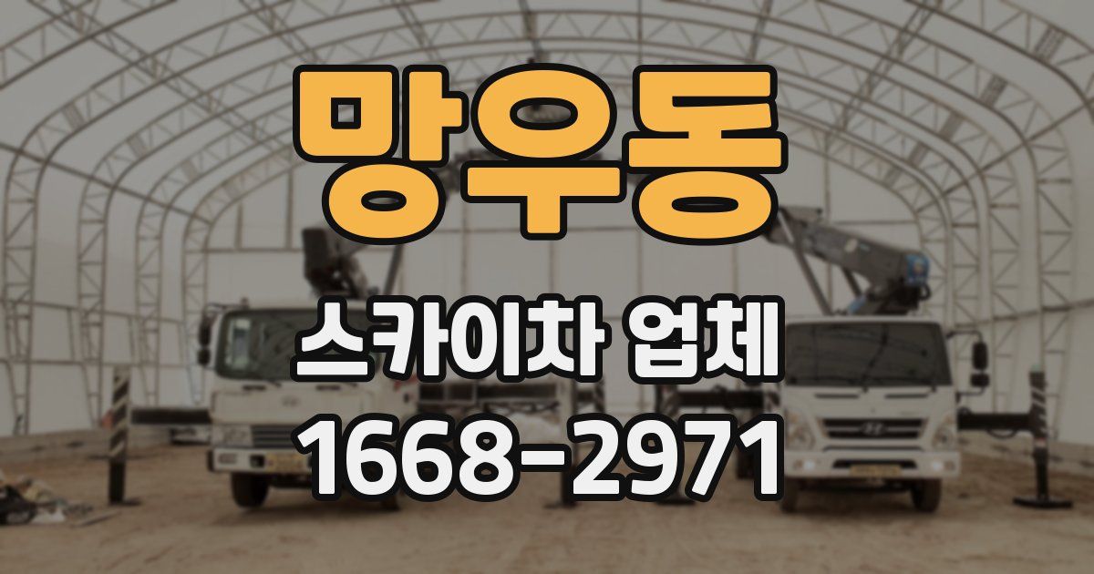 망우동 스카이차 업체