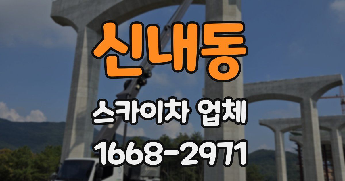 신내동 스카이차 업체