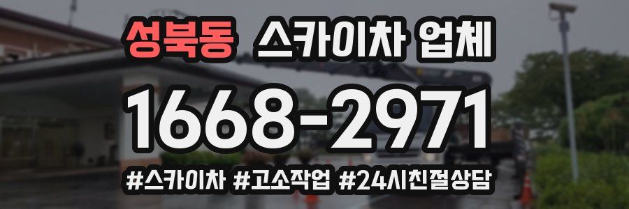 성북동 스카이차 업체