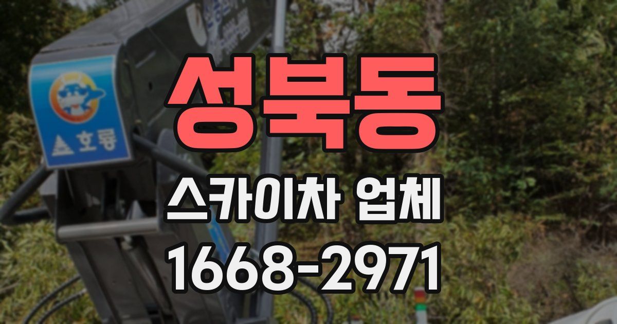 성북동 스카이차 업체