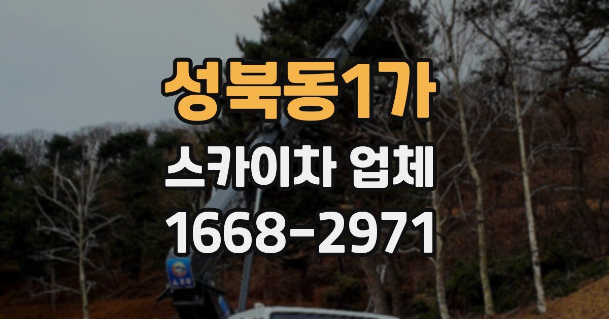 성북동1가 스카이차 업체