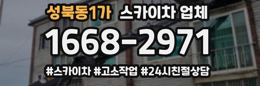 성북동1가 스카이차 업체