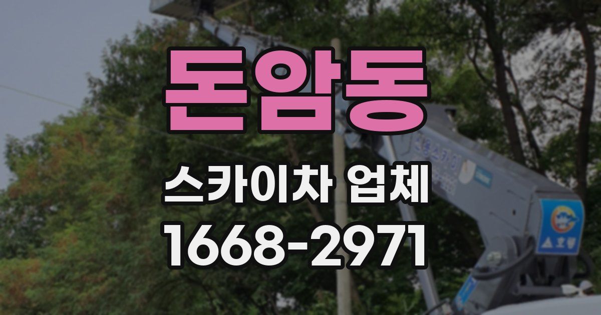 돈암동 스카이차 업체