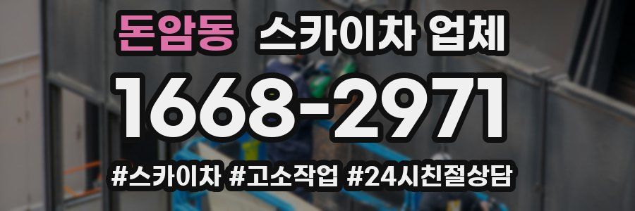 돈암동 스카이차 업체