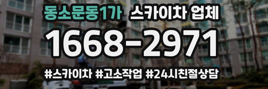 동소문동1가 스카이차 업체