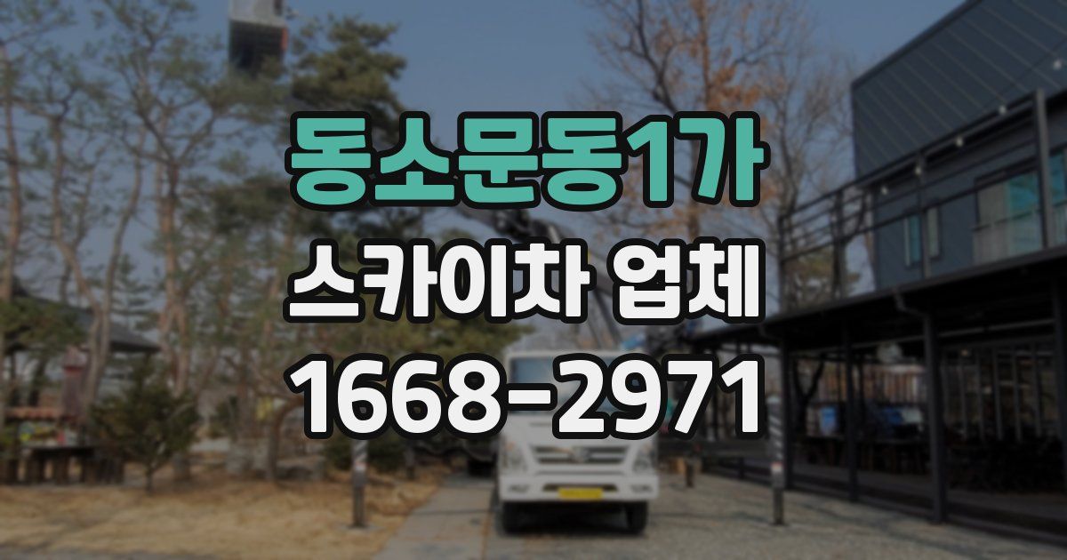 동소문동1가 스카이차 업체
