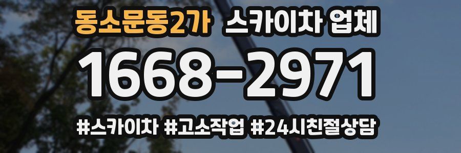 동소문동2가 스카이차 업체