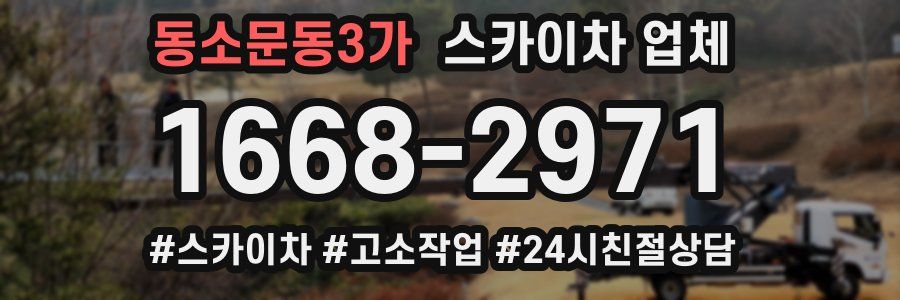 동소문동3가 스카이차 업체