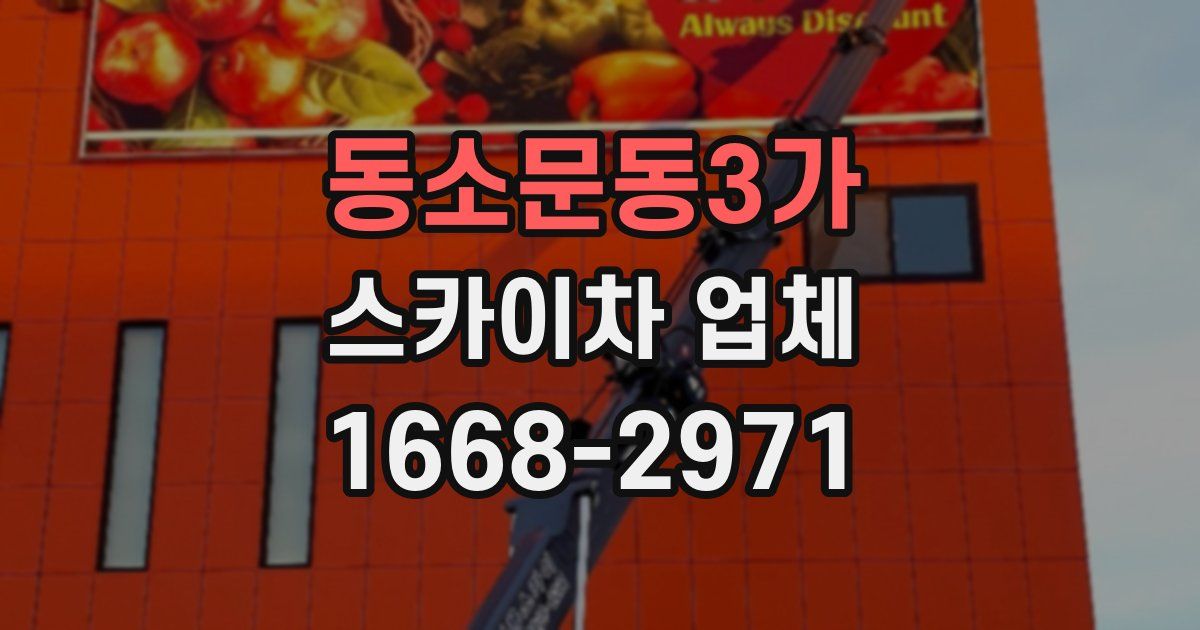 동소문동3가 스카이차 업체