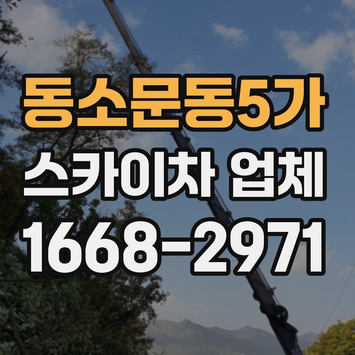 동소문동5가 스카이차 업체