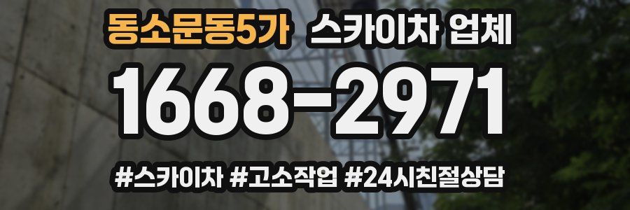 동소문동5가 스카이차 업체