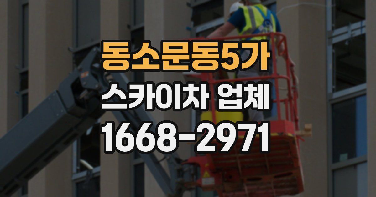 동소문동5가 스카이차 업체