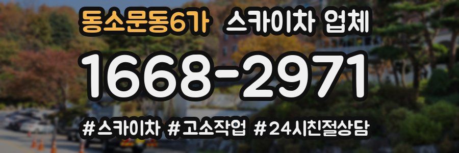 동소문동6가 스카이차 업체
