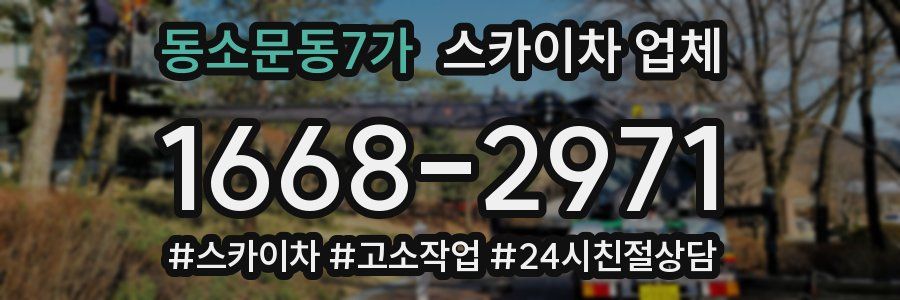 동소문동7가 스카이차 업체