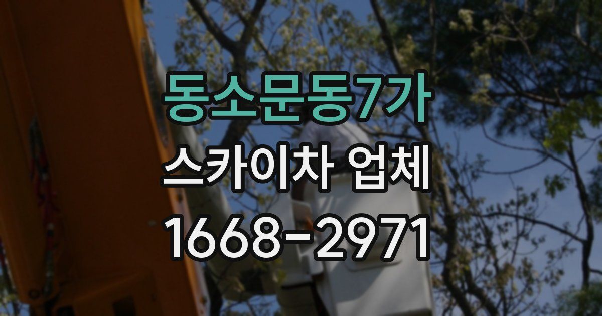 동소문동7가 스카이차 업체