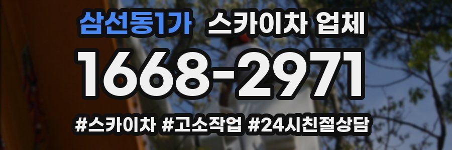 삼선동1가 스카이차 업체