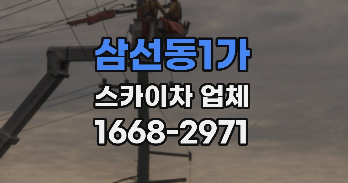 삼선동1가 스카이차 업체