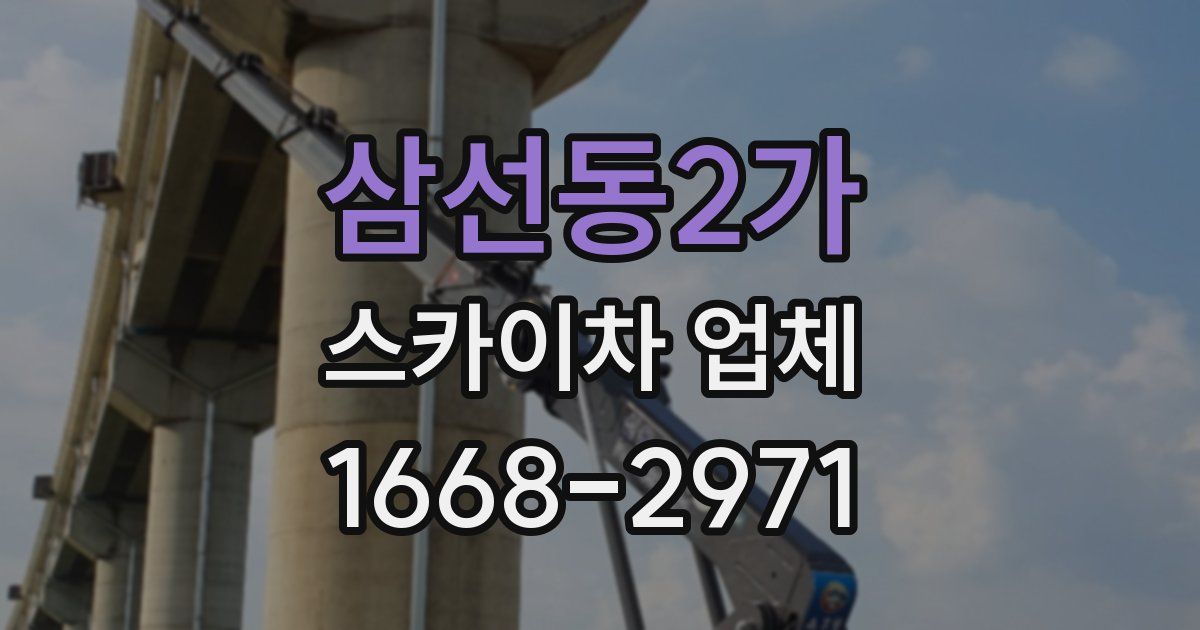 삼선동2가 스카이차 업체